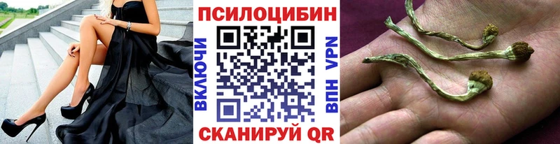 Галлюциногенные грибы GOLDEN TEACHER  купить  сайты  Невель 