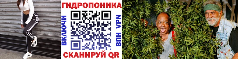 Конопля THC 21%  Невель 